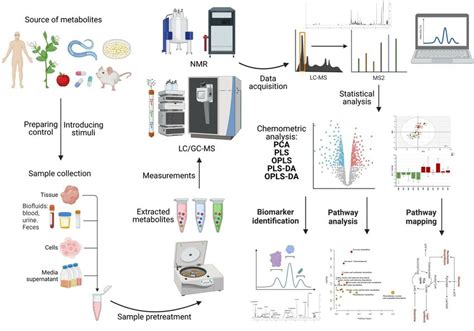 Metabolomics Workflow For Nmr Or Ms Based Metabolomics Da