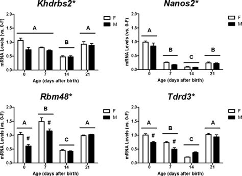 Androgenic Regulation Of Sexually Dimorphic Expression Of Rna Binding Motif Protein 48 In The