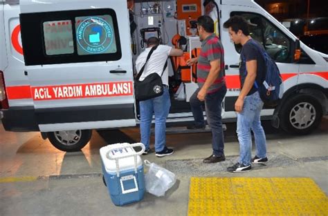 Trafik Kazas Nda Hayat N Kaybeden Kad N Hastaya Umut Oldu Haberler