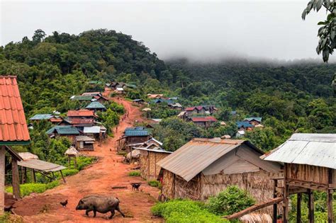 Top 10 National Parks In Laos: Whereabouts And What Do Do