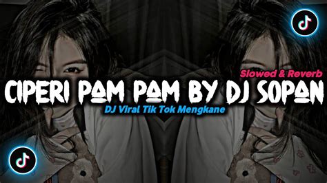 DJ Ciperi Pam Pam By Dj Sopan Slowed Reverb YouTube