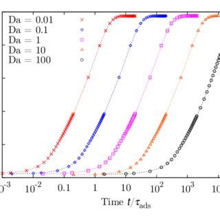 Time Dependence Of The Amount Of Adsorbed Molecules Over The Total