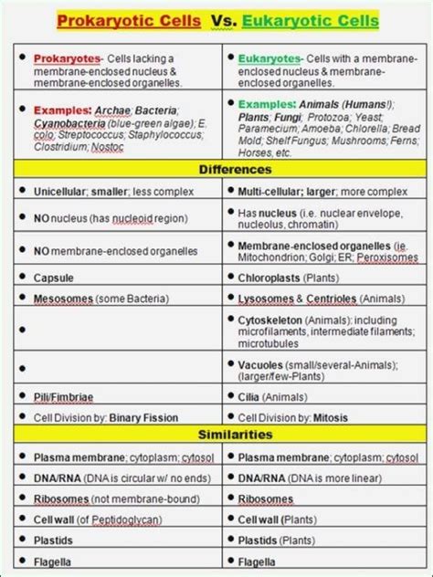 Gene Regulation In Prokaryotes Vs Eukaryotes