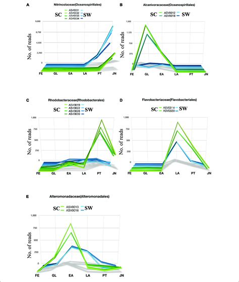 Dynamics Of Relative Abundance Of Key ASVs Based On Heatmap 14 Key