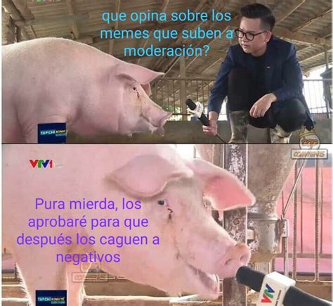 Suele Pasar Xd Partiendo Por Este Meme Subido Por Yamikechuch