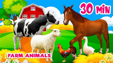 30 min Farm animal sounds Farm animals for kids Learn Farm animals Cow