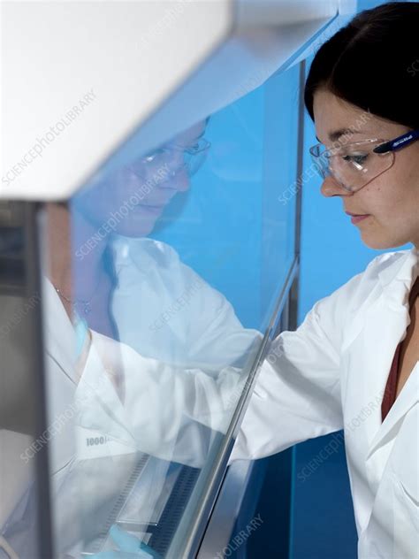 Sterile Sample Preparation Stock Image C Science Photo