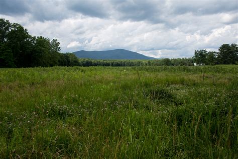 Thorn Preserve Meadow Paths - Catskills Visitor Center | Catskills Visitor Center