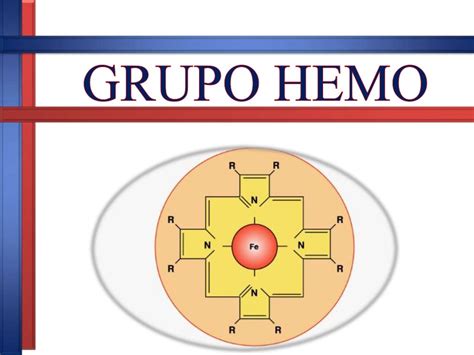 Grupo Hemo