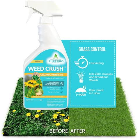 Ecosmart Weed And Grass Killer 64 Oz Spray Bottle