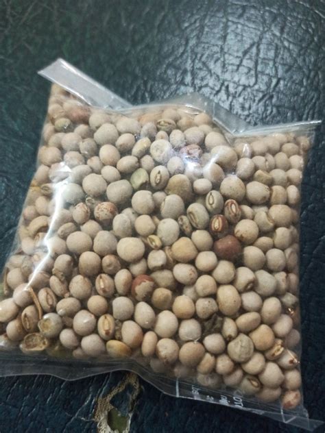 Pigeon Pea Seed At Rs 60pack In Salem Id 23154341497
