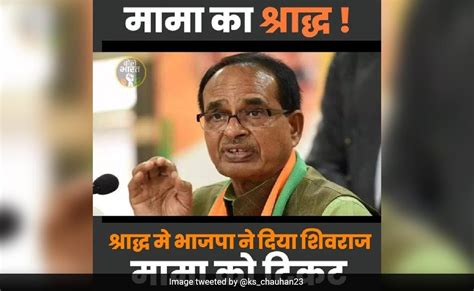 Madhya Pradesh Assembly Election News Shivraj Chouhan Like A Phoenix