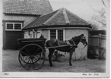 William Waller Loughton And District Historical Society
