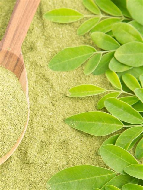 How To Use Moringa For Glowing Skin Onlymyhealth