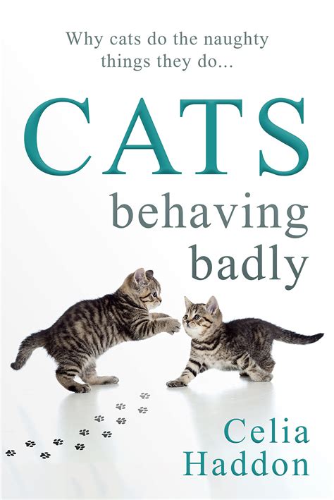 Cats Behaving Badly Why Cats Do The Naughty Things They Do By Celia