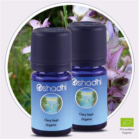 Clary Sage Organic Essential Oil Oshadhi Essential Oils