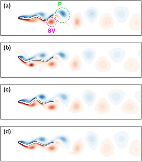 Instantaneous Vorticity Contours Ranging From Blue To Red