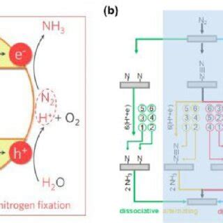 A Reaction Mechanisms Of Photocatalytic N Fixation Reproduced With