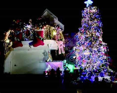 Welcome to the Tom and Jerry Christmas Tree! - San Francisco Bay Times ...