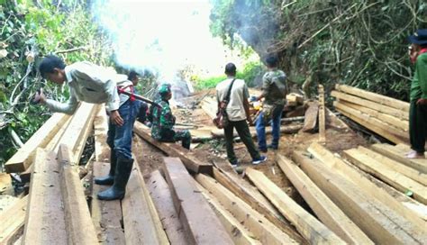 Opgab Pengamanan Hutan Di Ropang Amankan Ratusan Batang Kayu Ilegal