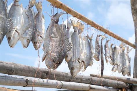 Sun Dried Fish Dry Raw Stock Photos Pictures And Royalty Free Images