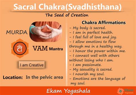 Sacral Chakra Svadhisthana Ekam Yogashala The Sacral Chakra Or The