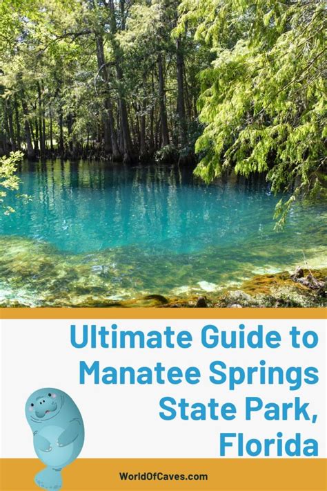 Ultimate Guide to Manatee Springs State Park, Florida (Tours, Pricing, History, Map) - World of ...