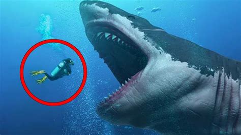 Top 10 Scary Theories That Prove The Megalodon Is Still Alive Youtube