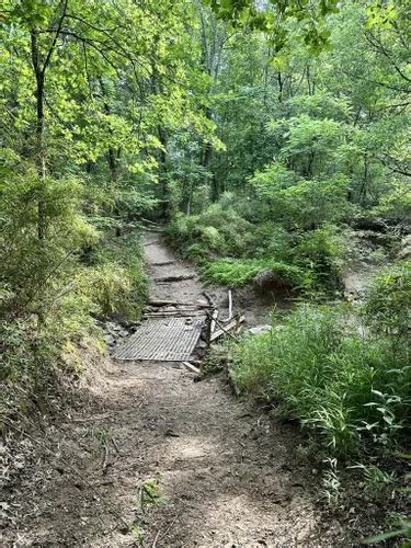 Best Forest Trails In Sulphur Springs Alltrails