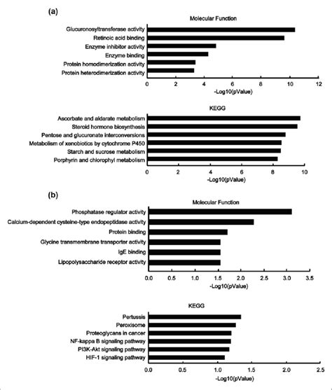 Prediction Of SIRT6 Participated Functions And Signaling Pathways Using