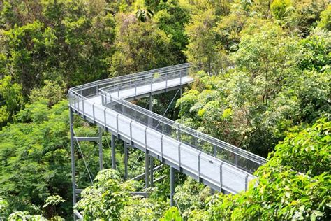 Forest Walk Of Telok Blangah Hill Park Rainforest Singapore Stock