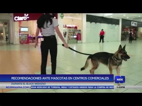 Recomendaciones Ante Mascotas En Centros Comerciales Durante Black