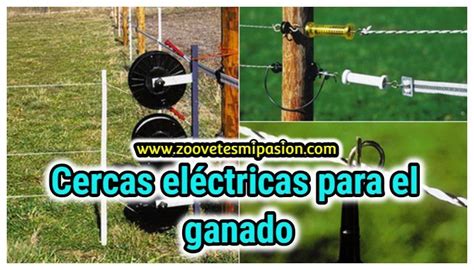 Recomendaciones Sobre Instalaciones Y Estructuras Ganaderas