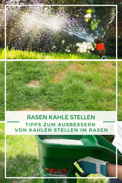 So Besserst Du Kahle Stellen Im Rasen Aus Garten Und Rasen Rasen