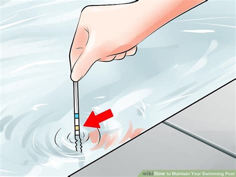 How To Maintain Your Swimming Pool With Pictures WikiHow