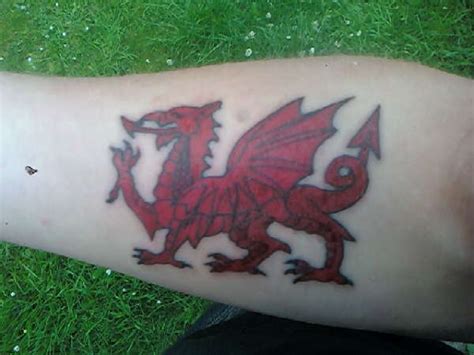 Welsh dragon tattoo ideas photos