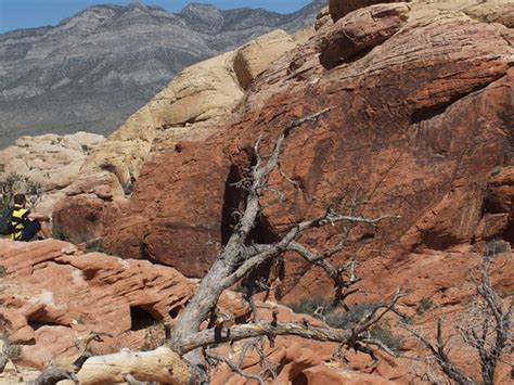 Dscf Calico Tank Trail Red Rock Canyon Randy Landry Flickr