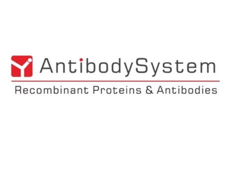 AntibodySystem Laboratories SAS 宸碩生物科技