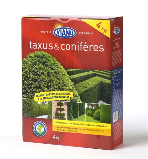 Taxus Coniferen Webshop Tuincenter Claes