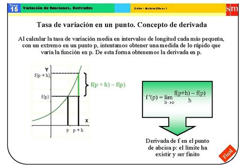 Tema Variacin De Funciones Derivadas Euler Matemticas