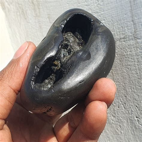 Big Size Golden Narsimha Shaligram Shaligram Shila Gandaki River Nepal