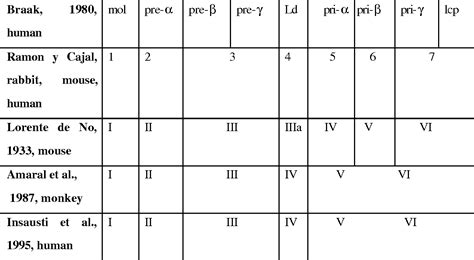 Table 1 from THE HUMAN ENTORHINAL CORTEX Anatomic Organization and Its ...