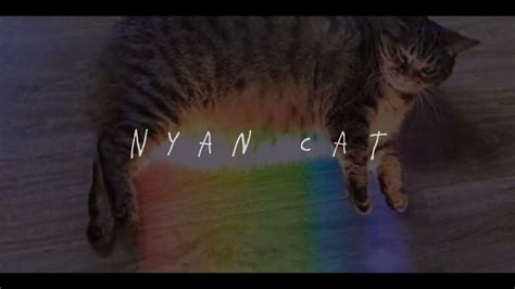 Nyan Cat 2 Minuts 𝙨𝙡𝙤𝙬𝙚𝙙 𝙧𝙚𝙫𝙚𝙧𝙗 YouTube