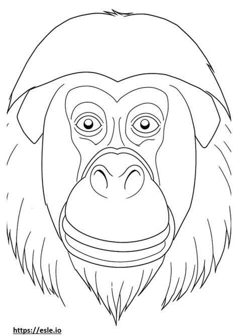 Bornean Orangutan Coloring Pages Free Printable