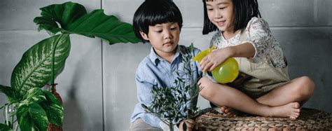 Occuper Les Enfants Pendant Les Travaux De Votre Maison Plush Boutiques