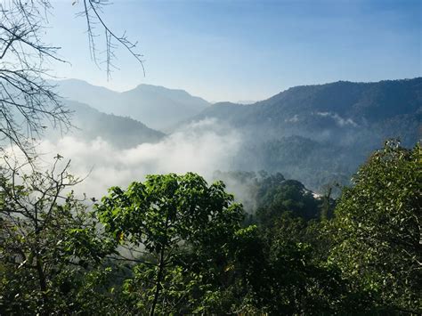 Journey to Ayyappa's Abode - Things to do at Sabarimala