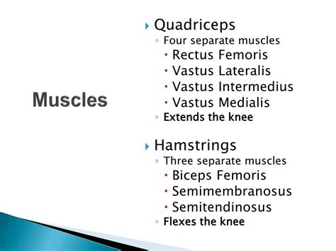 Ppt Tibial Femoral Joint Knee Powerpoint Presentation Free Download Id3391344