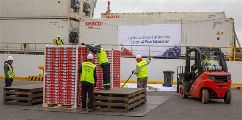 Con Más De Mil Pallets De Arándanos Frescos Sale El Primer Blueberry