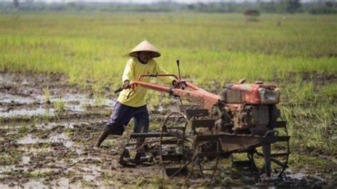 Kementan Dorong Penggunaan Alsintan Untuk Tingkatkan Produktivitas