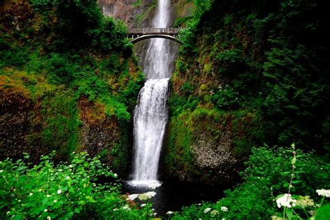 Columbia River Gorge Waterfalls And Mt Hood Tour From Portland Or